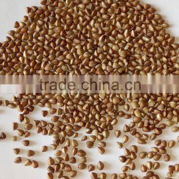 roasted buckwheat from China