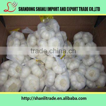 2016 New Crop Organic White Garlic Price Wholesale Chinese Garlic photo-5