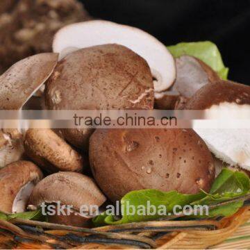 Fresh Shiitake Mushroom photo-2