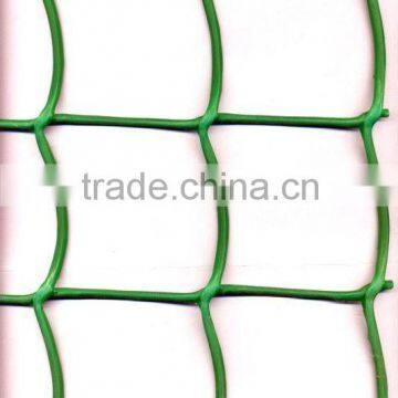 Climbing Plant Mesh