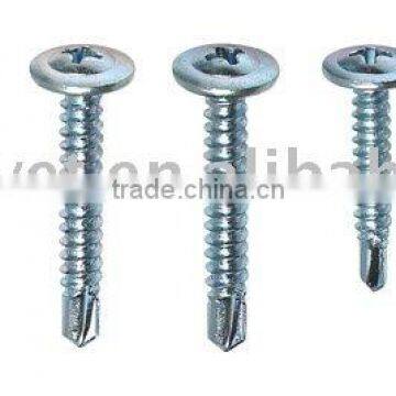 Drilling Screw