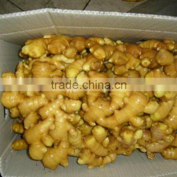 New crop air dry ginger with competitive export price