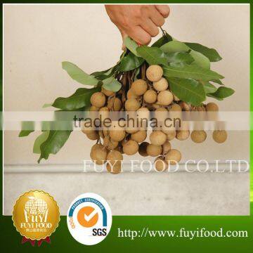 2015 July 100% Orchard fresh sweet longan fruit