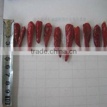 2013 Cheapest Dried Peppers photo-3