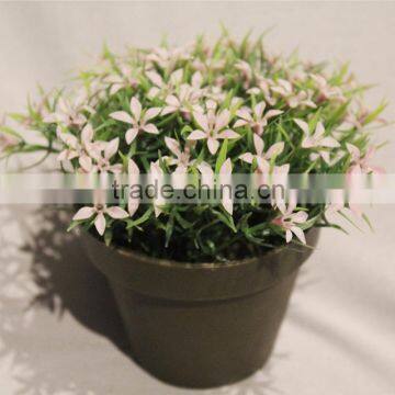 Mini Fake Plastic Potted Artificial Flower Bunch in White for Sale