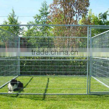 hot sale dog kennels/ dog cages china factory