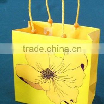 Paper Gift Bag