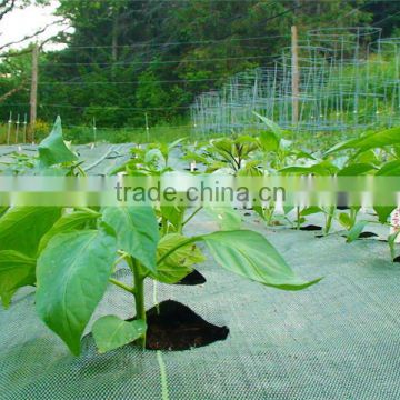 Vegetable Garden Weed Barrier