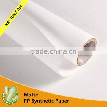 Ecp-solvent Matte PP Paper, Waterproof Matte PP Paper with or without glue