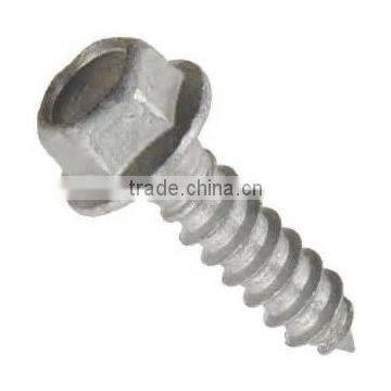 Hot Dipped Galvanized Hex Flange Lag Bolts (Screws)