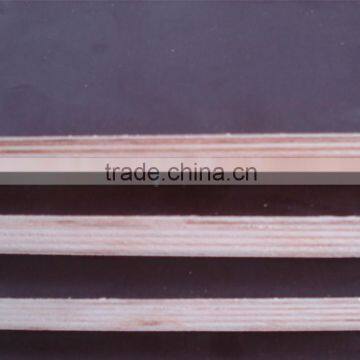 building film faced plywood/plywood