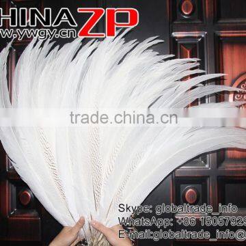 Top Supplier CHINAZP Bulk Sale Good Quality Wonderful Bleached White Long Silver Pheasant Tail Feathers Right photo-2
