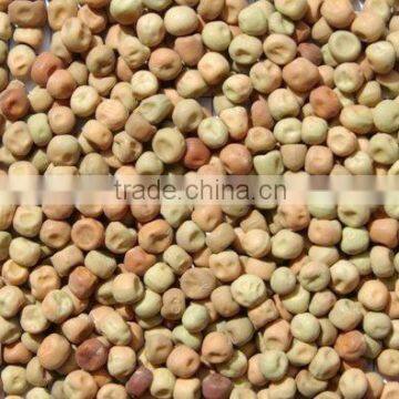 Australian Dun peas field peas parafield peas