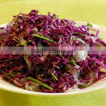 purple cabbage with lowest price no rotten purple cabbage