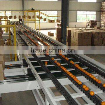 New Crop Fresh Naval Orange photo-3