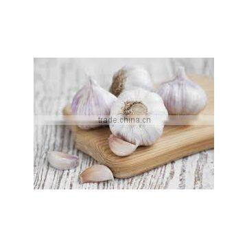 TAKE PART OF PRODUCT GARLIC