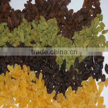 Xinjiang origin kinds of sultanas raisins