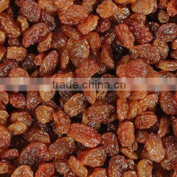 DRY INDUSTRIAL RAISIN FROM INDIA