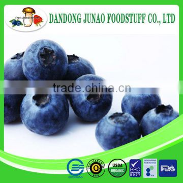 IQF new crop blueberry frozen dried blueberry price