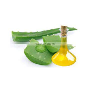 Natural Plant Extract Aloe Vera