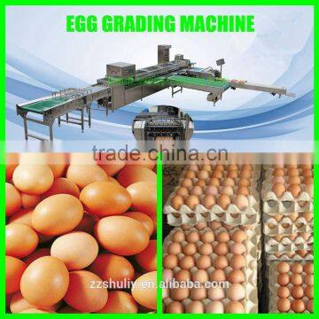 high capacity automic egg grading machine