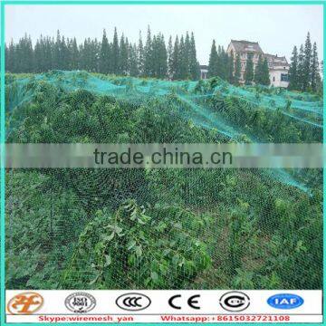 wholesale nylon insect mesh dark green 100g/m2 pe