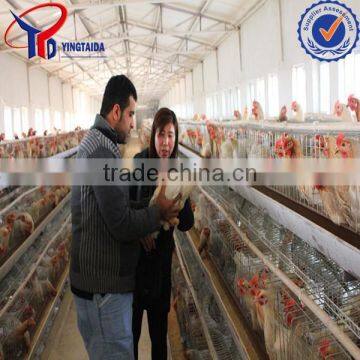 Chicken Cage South Africa photo-2