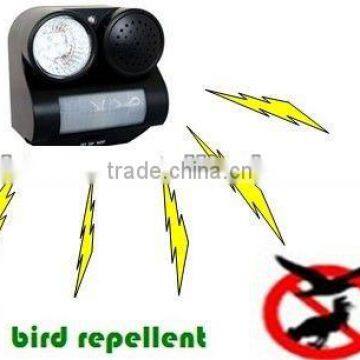 ultrasonic control bird