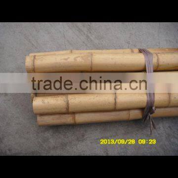 ZENT-140 large bamboo pole moso bamboo pole