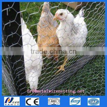 Galvanized hexagonal wire mesh cage for chicken layer