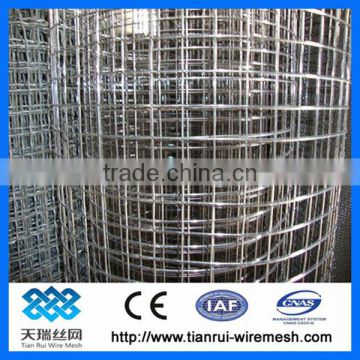 electro galvanized wire mesh