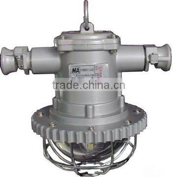 DSG12/127L(A) Round Explosion-proof Laneway Light/OEM photo-4