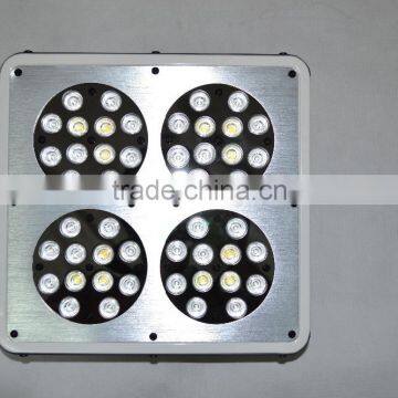 Wholesale Led Grow Lights photo-3