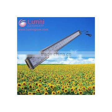 Alibaba wholesale portable led grow light