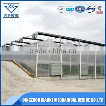 China Supplier Agricultural Multi Span Polycarbonate Greenhouse photo-5