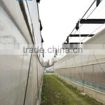 Factory Price BLD001 Plasctic Film Cover Greenhouse for Agricultural and Commercial Use photo-2
