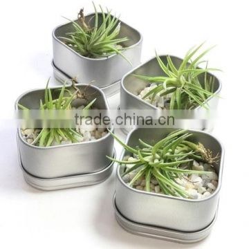 Outdoor Garden Decorative Metal Planter Made In India | Galvanized Garden Planter | Window Box planters