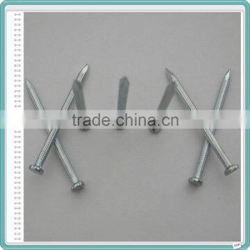 concrete nail/concrete steel nail manufacturer in china