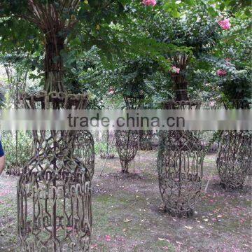 Lagerstroemia Indica Formed Shape Plants photo-4