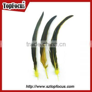 Wholesale Colourful Long Saddle Hackle Grizzly Rooster Feathers for Sale photo-4