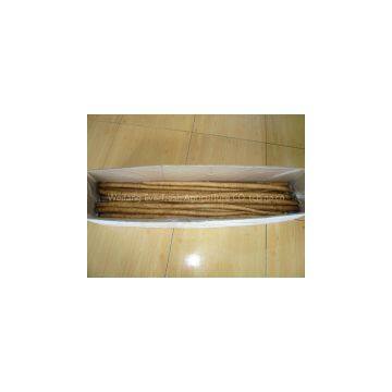 Fresh burdock in China