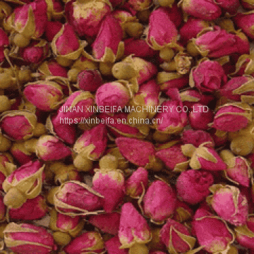 Hign Quality Rose Drying Equipment photo-4
