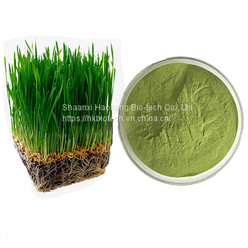 Barley Grass Powder