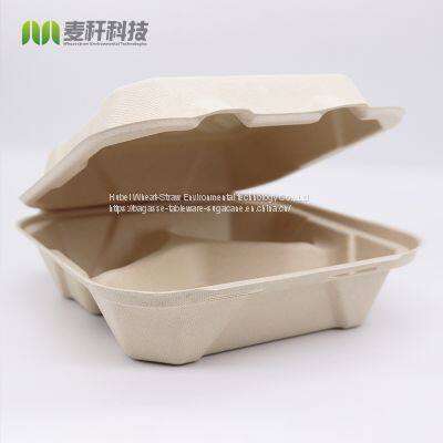 Disposable Biodegradable 8*8 Take away Sugarcane container