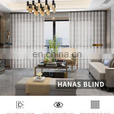 Transparent Dream Korean Romantic Vertical Window Curtain/Living Room Sheer Curtains Hanas Blinds photo-4