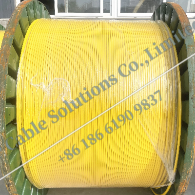 Downhole Sensor Cable