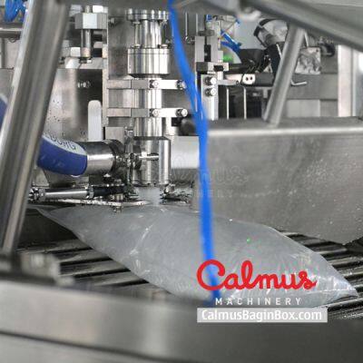 Bag in Box Filling Machine for Fully-automatic Liquid Packaging