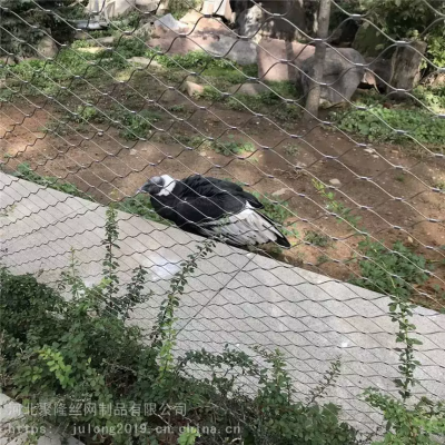 Stainless Steel Wire Rope Construction Decoration Climbing Woven Enclosure Zoo Fence Safety Net Cable Mesh photo-5