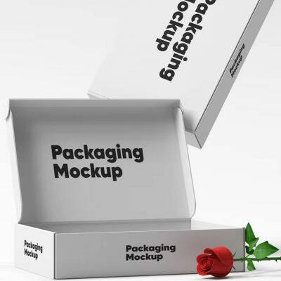 Custom Soy Ink Printed Design Corrugated Cardboard Packaging Mailer Box Folding Post Airplane Shipping Mailing Box photo-2