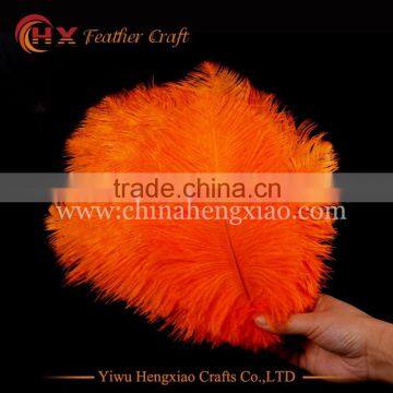 CHINA HX Factory Wholesale Dyed Ostrich Feathers for Sale
